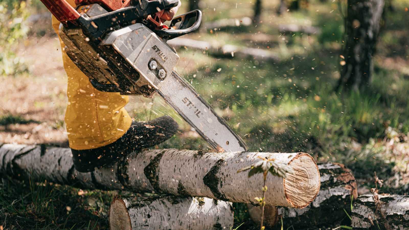 Tree felling specialist with a chainsaw working on a residential property